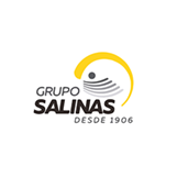 Grupo Salinas Logo